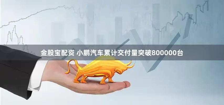 金股宝配资 小鹏汽车累计交付量突破800000台