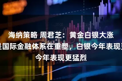 海纳策略 周君芝：黄金白银大涨背后是国际金融体系在重塑，白银今年表现更猛烈